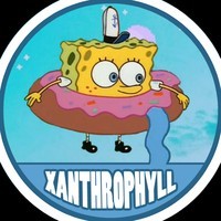 Xanthrophyll