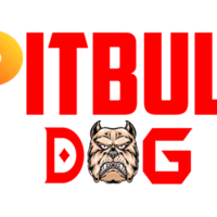 pitbulldog