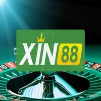 Xin88