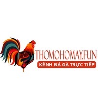 Thomohomnay - Trực tiếp đá gà Thomo hôm nay