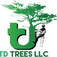 TD Trees LLC