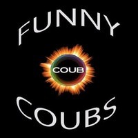 Funny Coubs