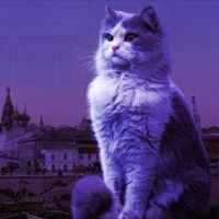 Русский котъ