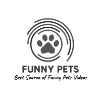 Pets | Funny Videos