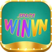 winvnspace