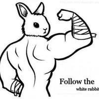 Follow the white Rabbit