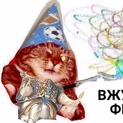 Кот с палочкой мем