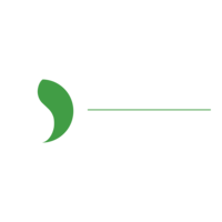 Khyber Shippers