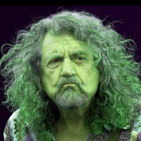 Robert plant