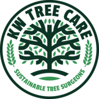 kwtreecareuk