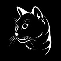 BLACK CAT 🐾