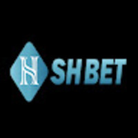 Vincent Đỗ - CEO SHBET