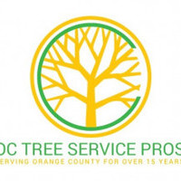Tree removal Orange County CA 