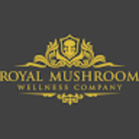 Royal Mushroom