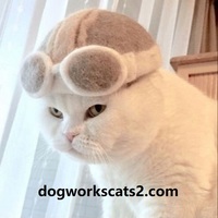 dogworkscats2