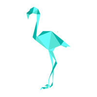 Flawless Flamingo