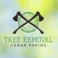 Cedar Rapids Tree Removal