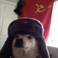 URSS Dog