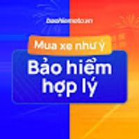 BH Ô Tô Việt Nam