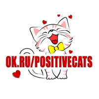 Позитивные коты и кошки!