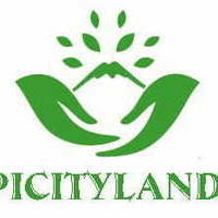 picityland