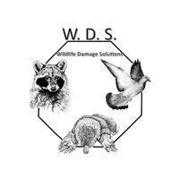 Wildlife Damage Solutions LLC