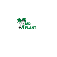Mr. Plant
