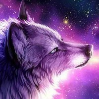 AestheticWolf