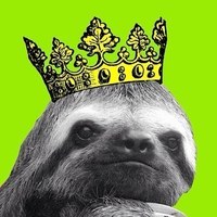 Royal Sloth