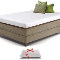 Best Type of Mattress for Lower Back Pain