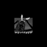 meltonew