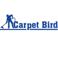 Carpet Bird