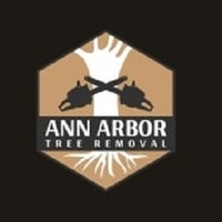 Ann Arbor Tree Removal