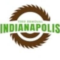 Tree Removal Indianapolis