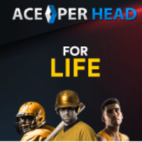 best pay per head sites