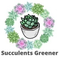 Succulents Greener