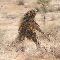 A_Ghillie_in_the_Mist