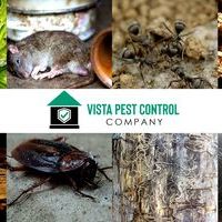 Vista Pest Control Company