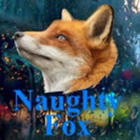 NaughtyFox