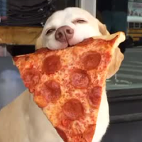 Pizzadog