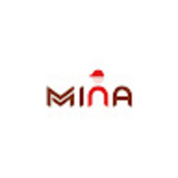 Mina Safety