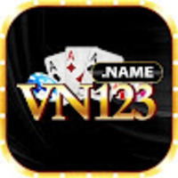 VN123 Name