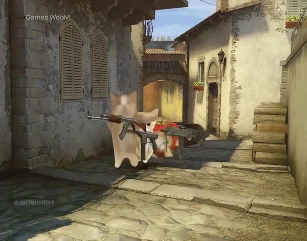 CS GO push b with cats) - Coub