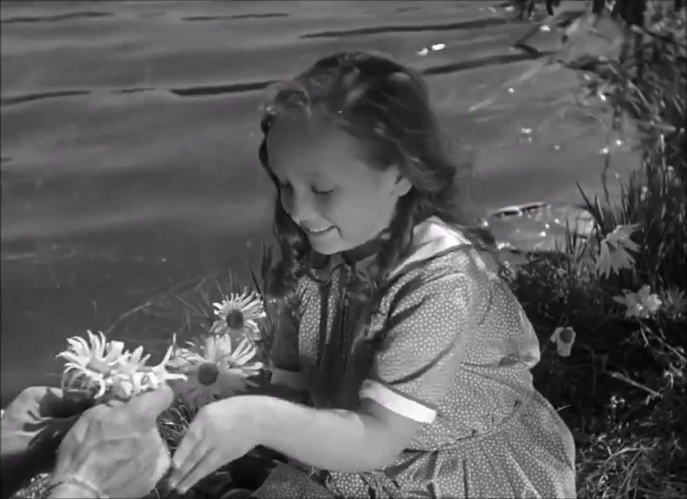 Frankenstein France Gall Coub