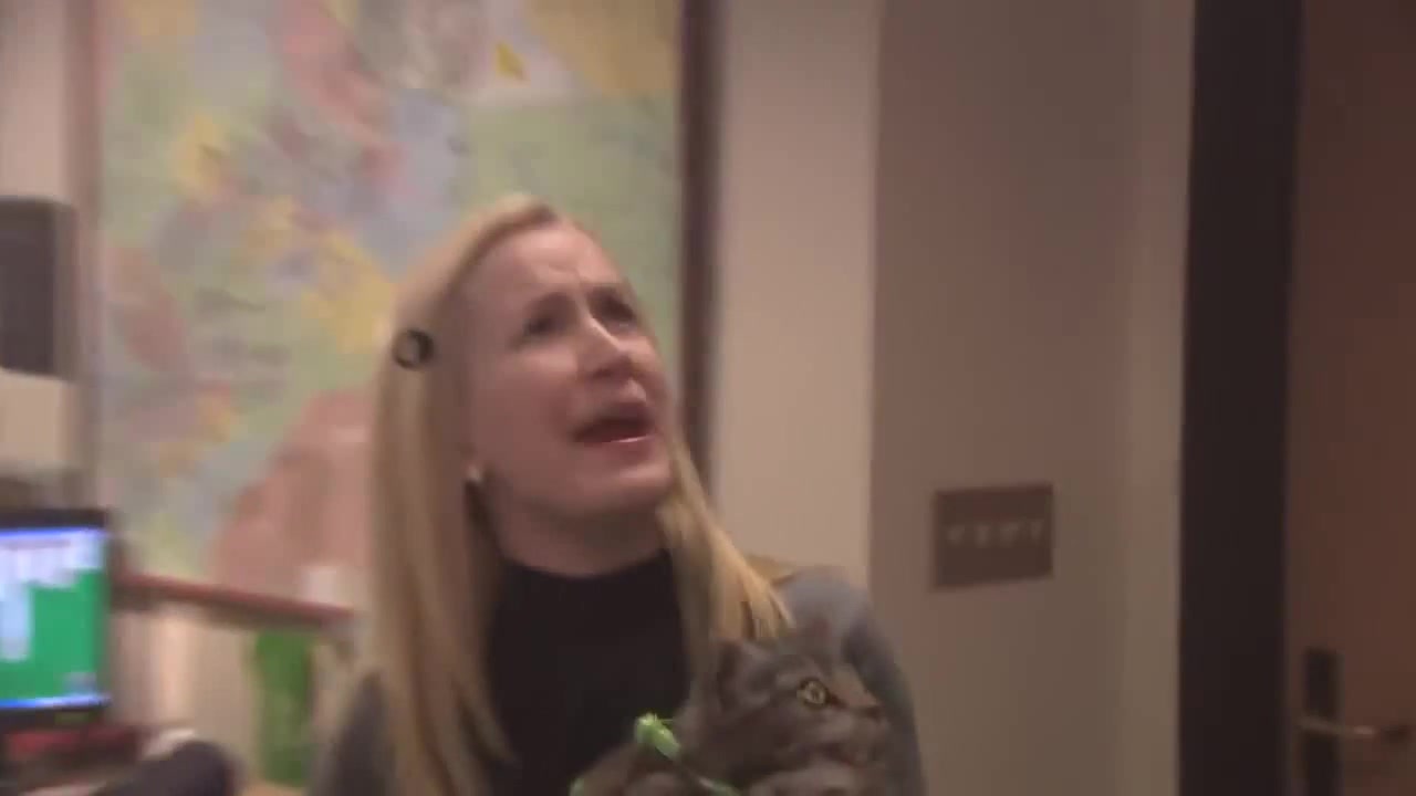 Fire Drill The Office US Coub