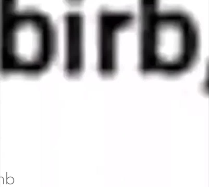 Bird Want Sum Seed Coub The Biggest Video Meme Platform