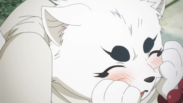 Серебряный лис - Coub