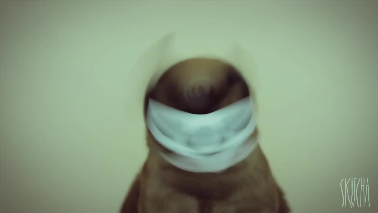 stereo skifcha Coub The Biggest Video Meme Platform