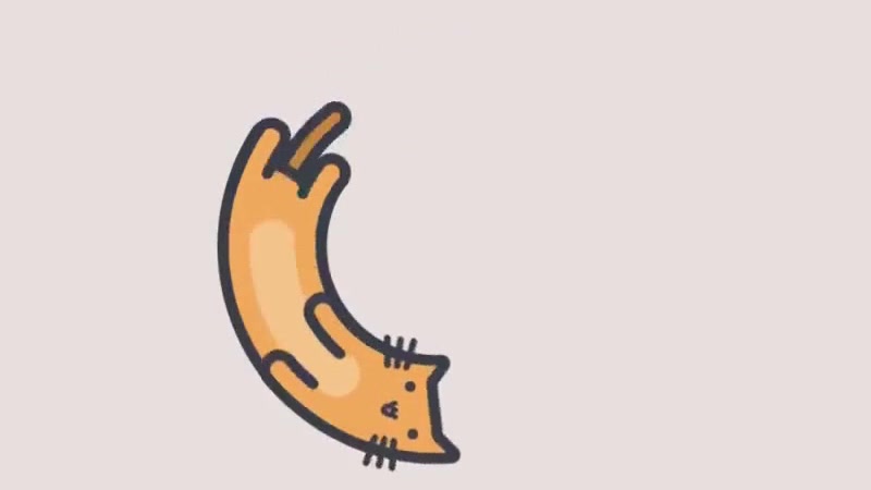 cat loading - Coub