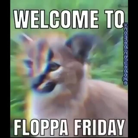 Floppa Friday! - song and lyrics by Soisuv